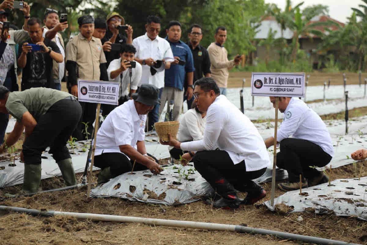 Wamentan Ajak Petani Deli Serdang Optimalkan Pompanisasi